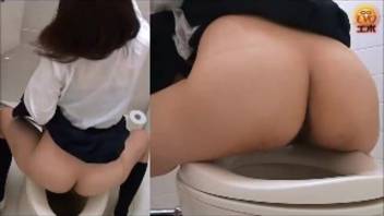 Japanese females pooping in the bathroom