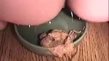 Adorable chick Sabrina defecating in a dish