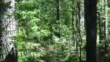Lera peeing in the forest